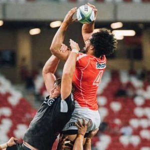 value,DISC Profiles,Assessments,Behavioral Profiles,Performance,Development,Athlete Development,consultation