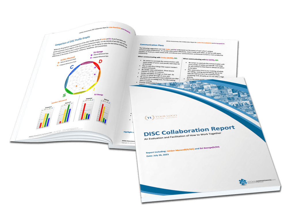 DISC Collaboration Report Example